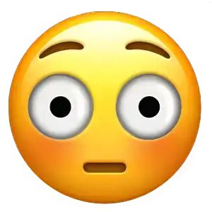 1741058745294.webp