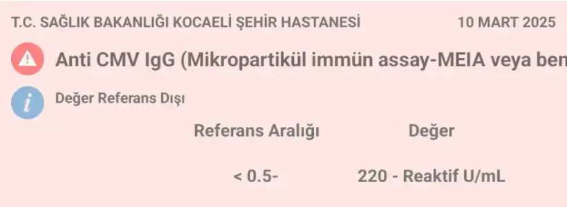 1000124068.webp
