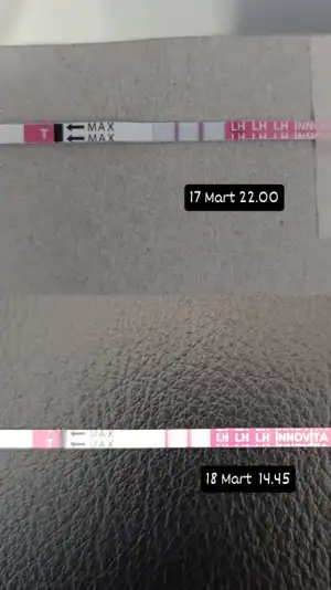 1000034959.webp