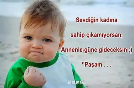 $230944_529584740404445_40031123_n.webp $230944_529584740404445_40031123_n.webp