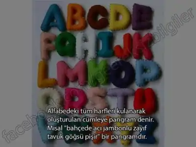 $384481_525255034155016_38545396_n (1).webp