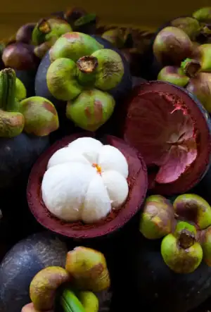 Mangostan Meyvesi: Egzotik Lezzet ve Sağlığa Faydaları!