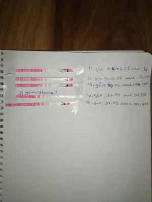 17433724909703929080688650365801.webp