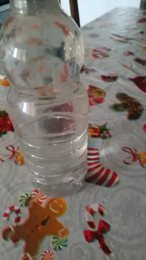 1000040446.webp