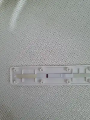 1000087204.webp