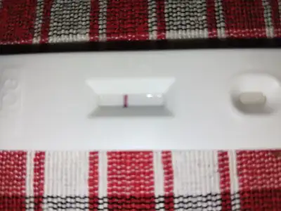 1000130506.webp