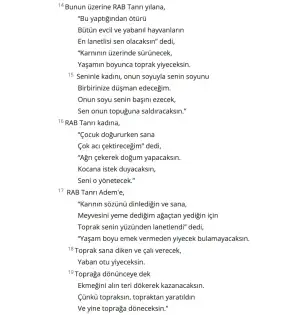 Ekran Resmi 2025-04-09 00.27.26.webp