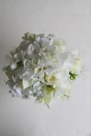 $IMG_8253.webp