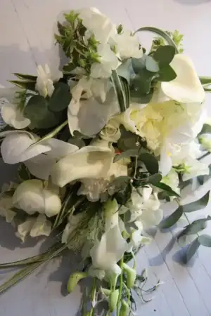 $IMG_3745.webp