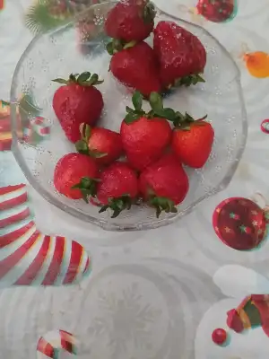 1000044714.webp