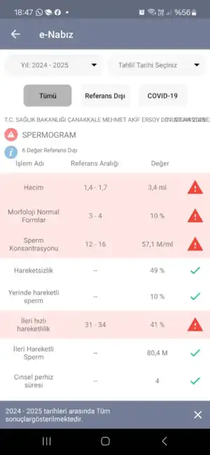e8e4d385-92ee-4bd6-9da7-a9cfa7485d6f.webp