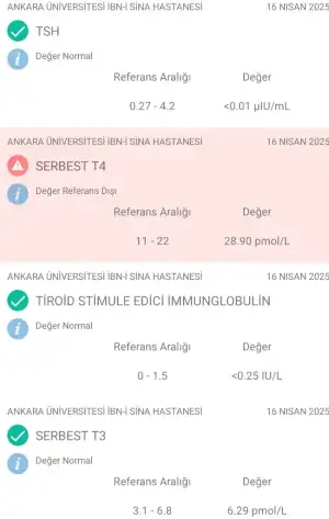1000021281.webp