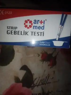 17449195262081032006354693697786.webp