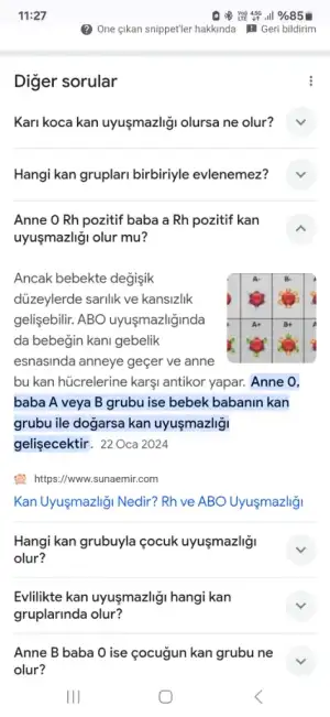 1000033721.webp
