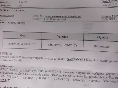 17450701513932608914187825257968.webp