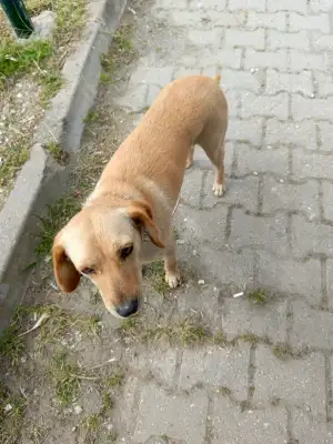 1000056144.webp