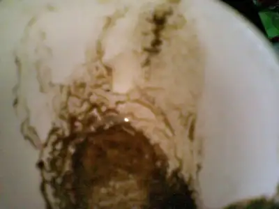 $03012010(003).webp