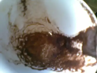 $03012010(014).webp