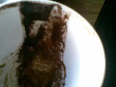 $03012010(015).webp