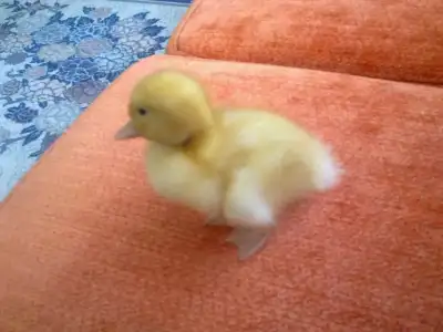 $200420122293.webp