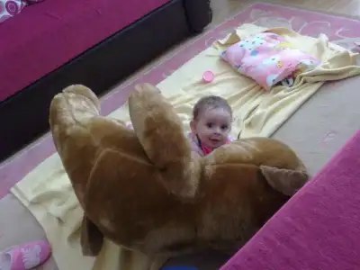 $26102012532.webp
