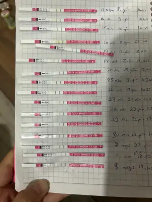 image.webp