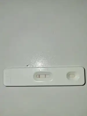 1000083694.webp