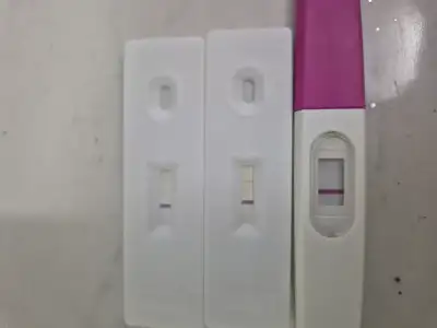 1000047151.webp