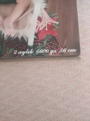 17465167271783424911178124634815.webp