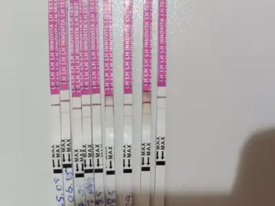 IMG_20250511_004144.webp