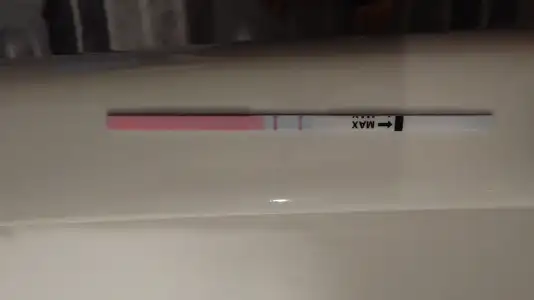 1000029968.webp