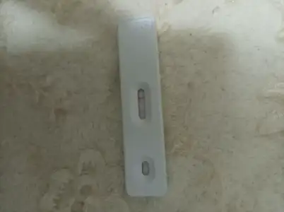 17474416036568294804186941837575.webp