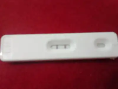 $2012-11-01 20.29.40.webp