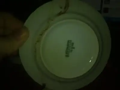 $011120126084.webp