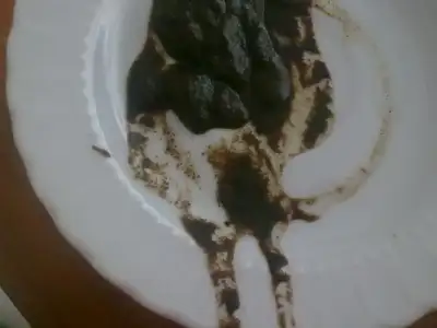 $011120126088.webp
