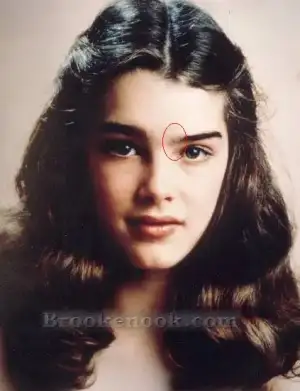 $l-brooke-shields-173d21af.webp