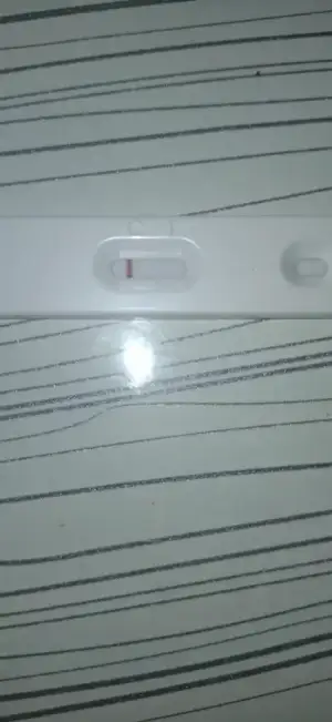1000028186.webp