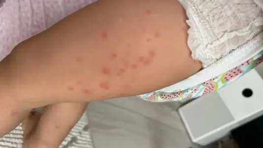 WhatsApp Görsel 2025-05-27 saat 14.45.16_85d09330.webp