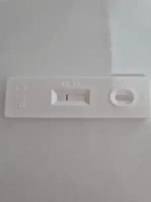 1000031219.webp