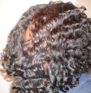 $hairscapades_2.webp