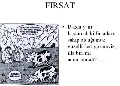 $frsat9ecax7.webp