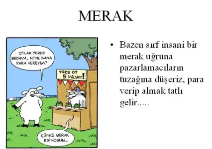 $merak9olkl7.webp