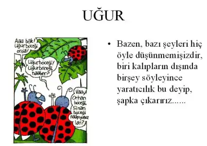 $uur6djry5.webp