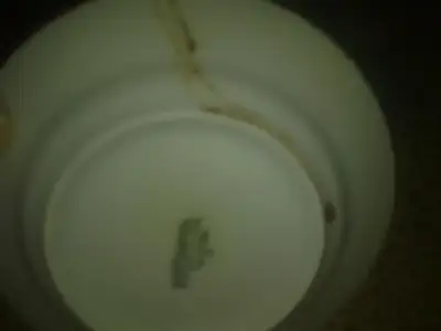 $031120126124.webp