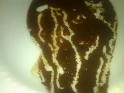 $031120126131.webp