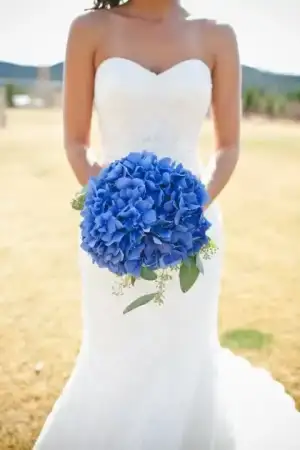 $blue-hydrangeas.webp