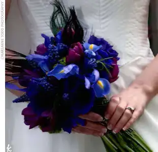 $theknot.webp