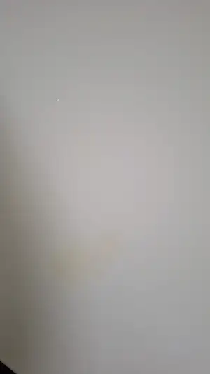 1000111614.webp