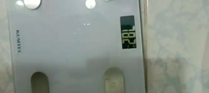 1000033097.webp