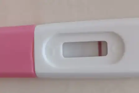 b7cj2wv.webp b7cj2wv.webp